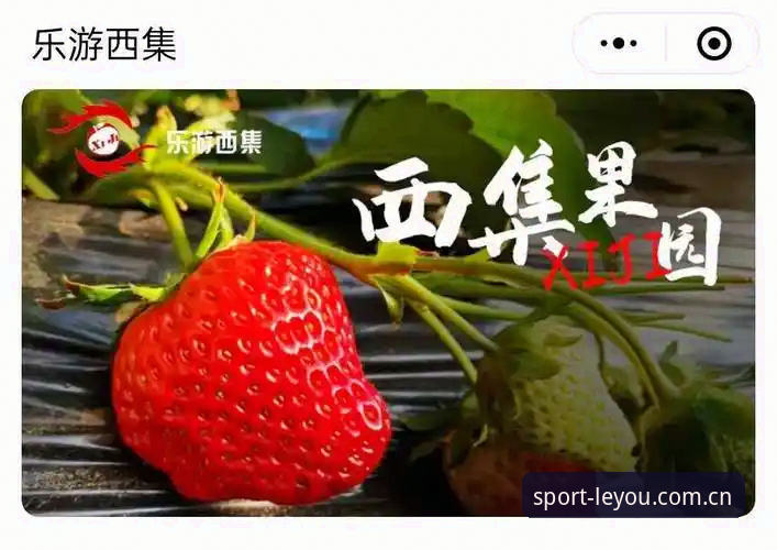 乐游体育官网2024新版怎么下载 乐游体育官网2024新版下载完整指南:从安装到注册的全面解析